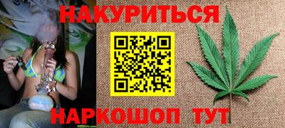 крисы Краснознаменск