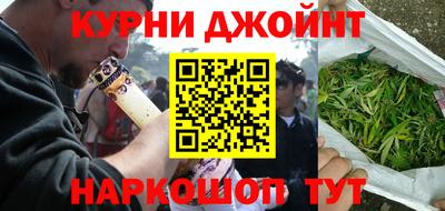 крисы Краснознаменск