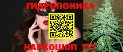 крисы Краснознаменск