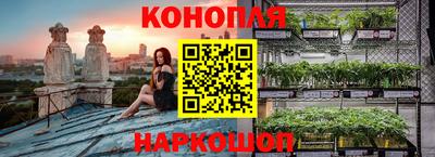 крисы Краснознаменск