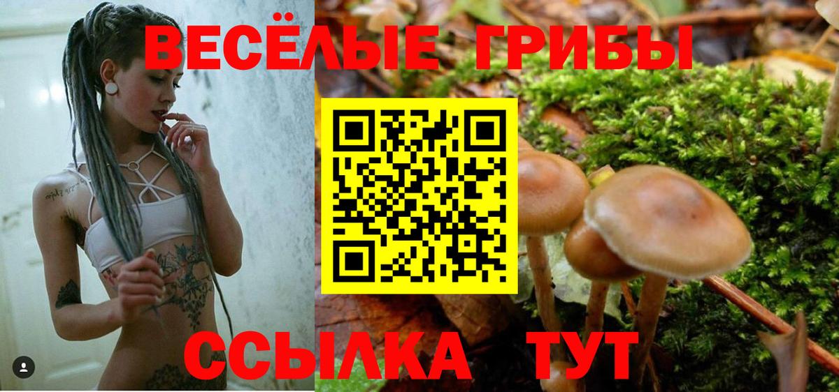 Галлюциногенные грибы прущие грибы  Галлюциногенные грибы Magic Shrooms  где найти   Вход с VPN  Конаково 
